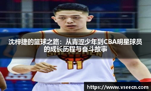 Vsports胜利因您更精彩