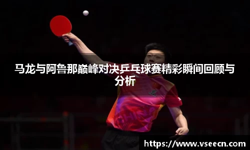 vsports体育在线官网