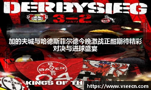 vsports体育在线官网