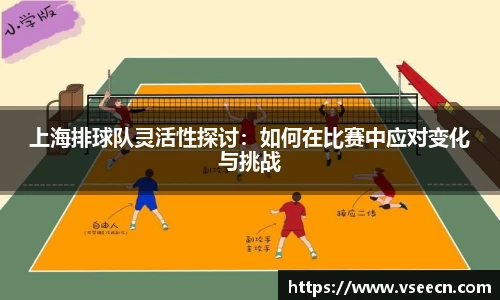 上海排球队灵活性探讨：如何在比赛中应对变化与挑战