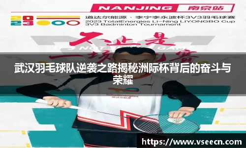 武汉羽毛球队逆袭之路揭秘洲际杯背后的奋斗与荣耀