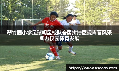 Vsports胜利因您更精彩